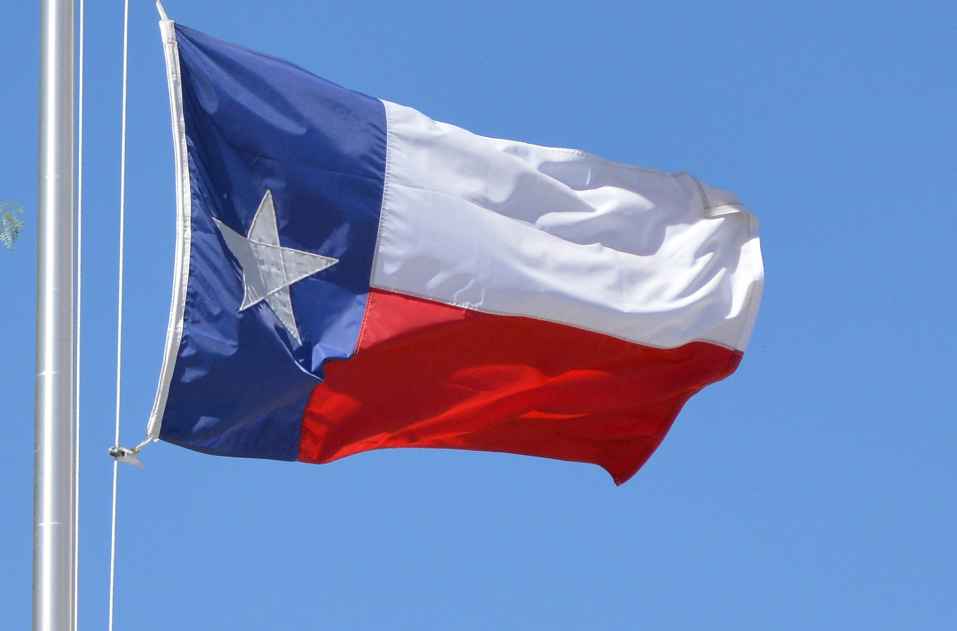 texas flag lone star state free photo