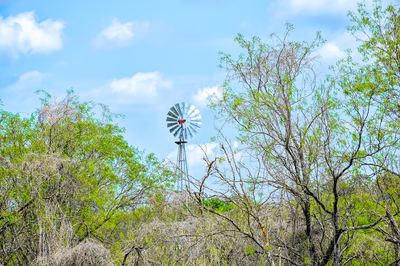 texas landscape  windmill  mesquite tree free photo