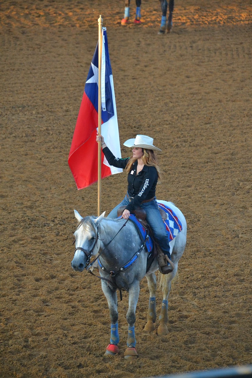 texas state flag horse cowgirl free photo
