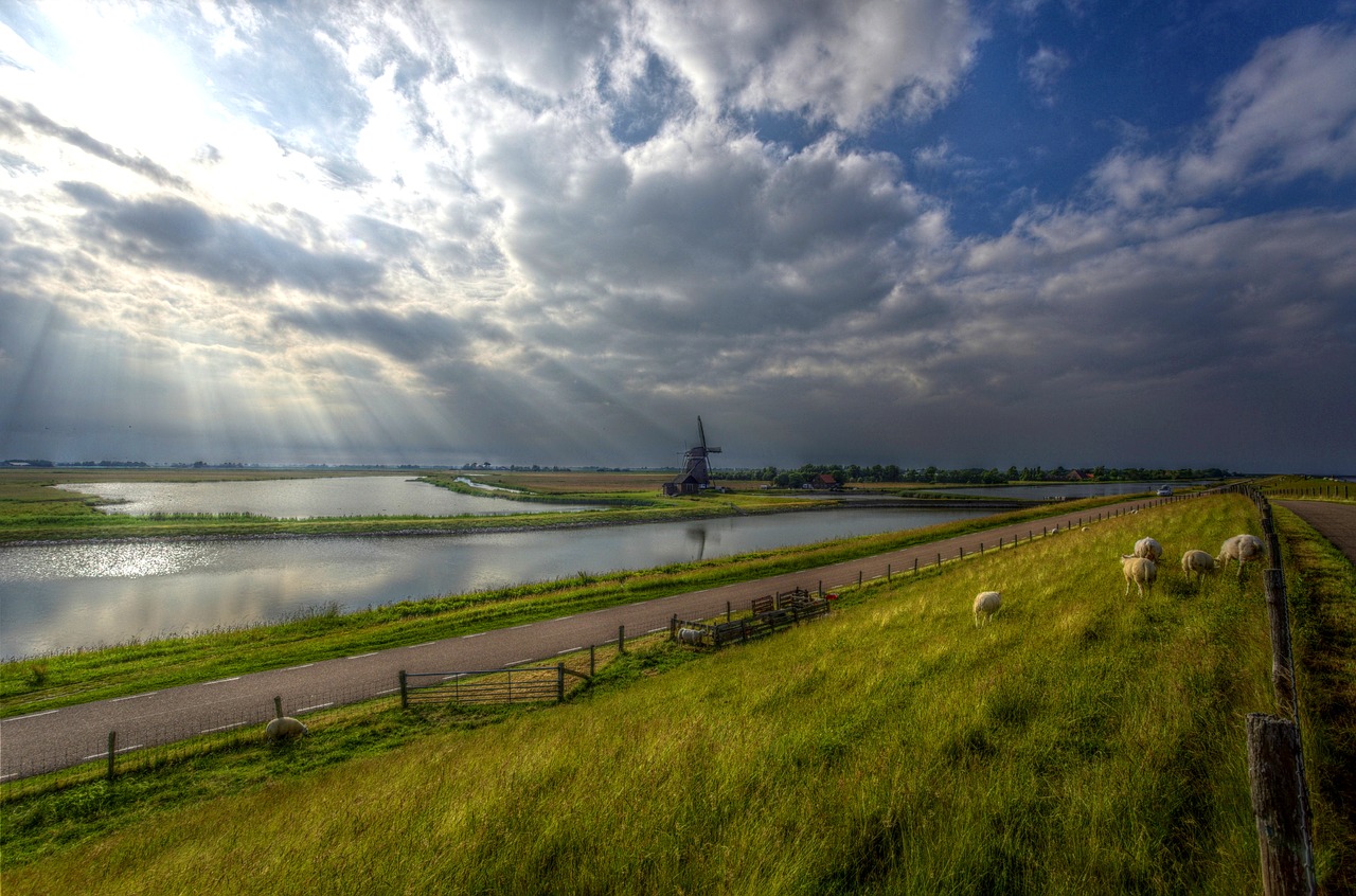 texel windmill netherlands free photo