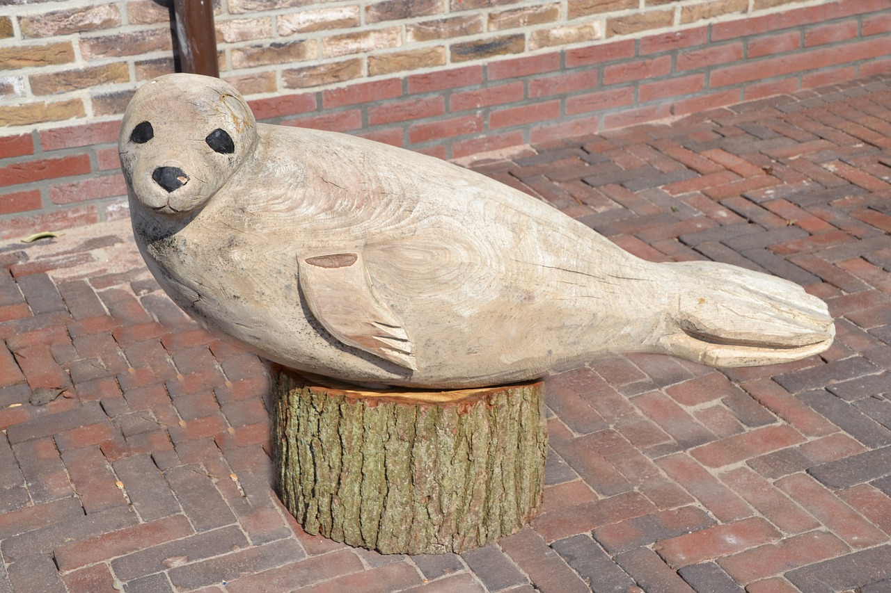 texel robbe carving free photo