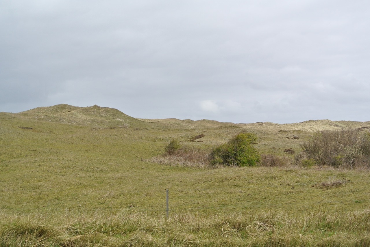 texel dunes meadow free photo