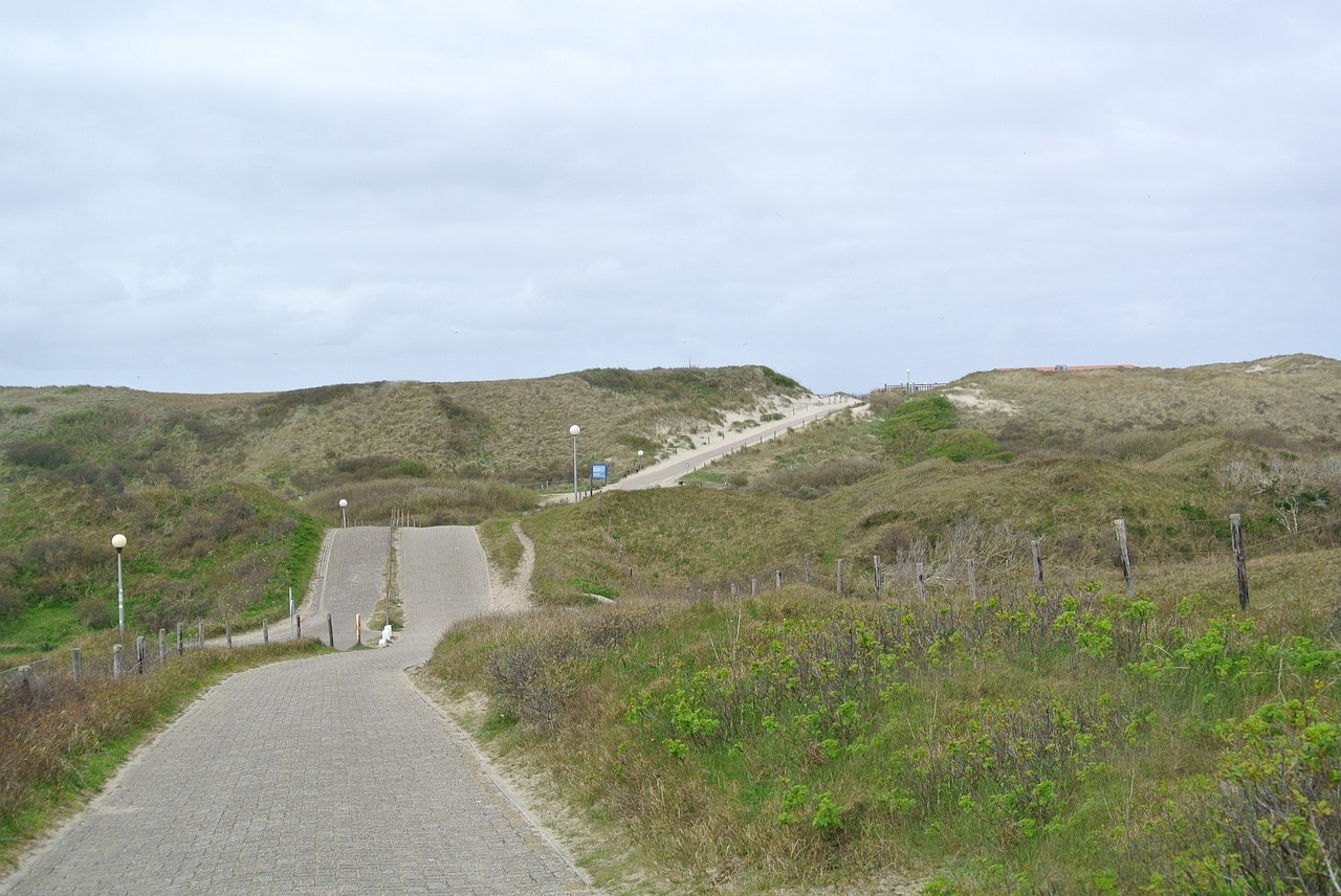 texel dunes away free photo