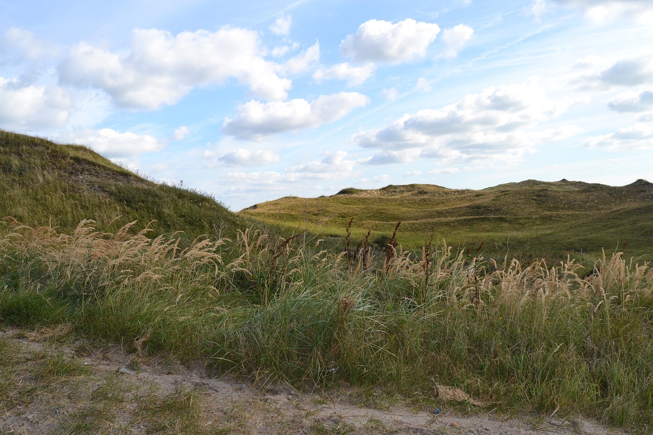 texel dunes holiday free photo