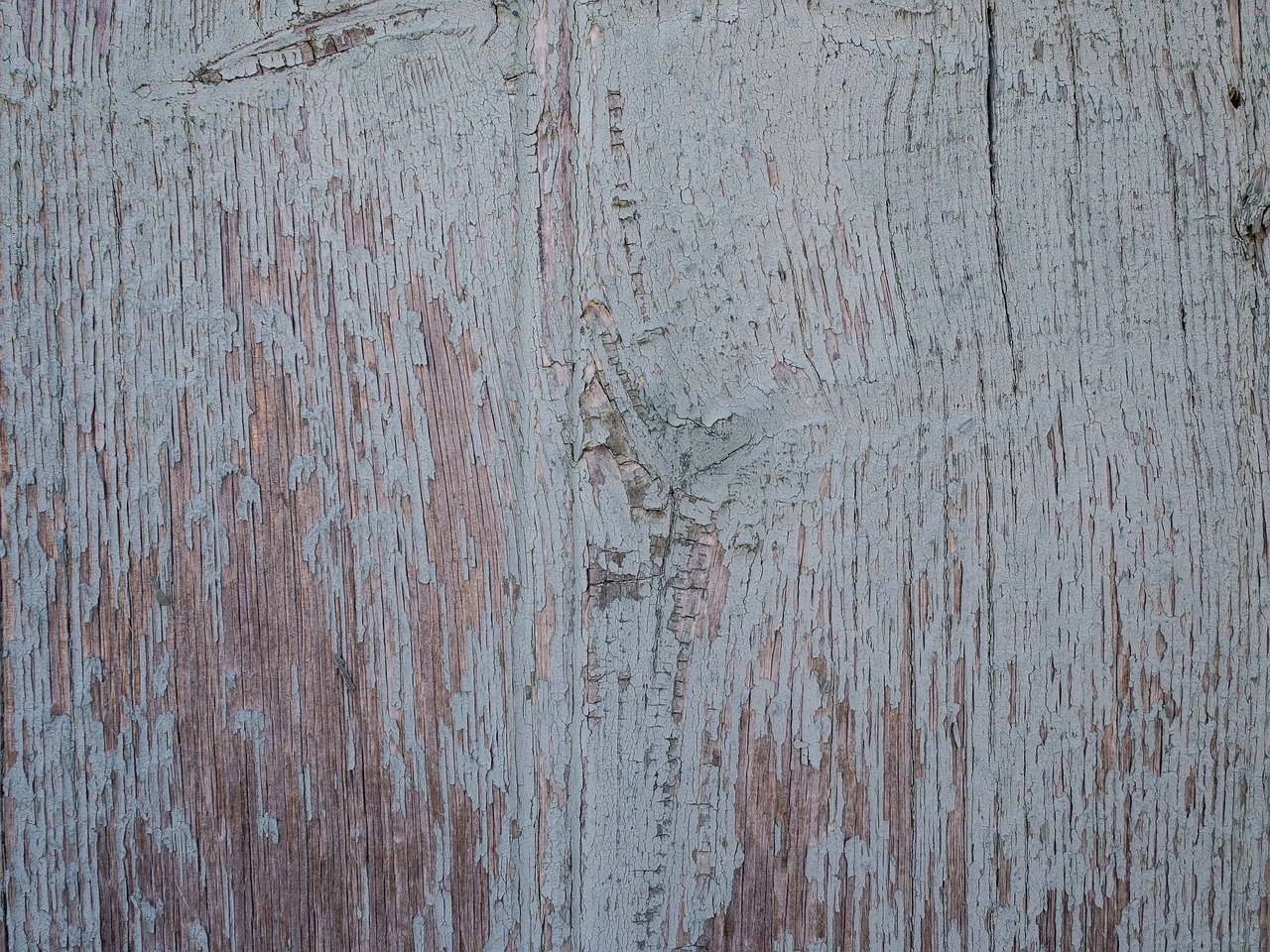 texture wood old free photo