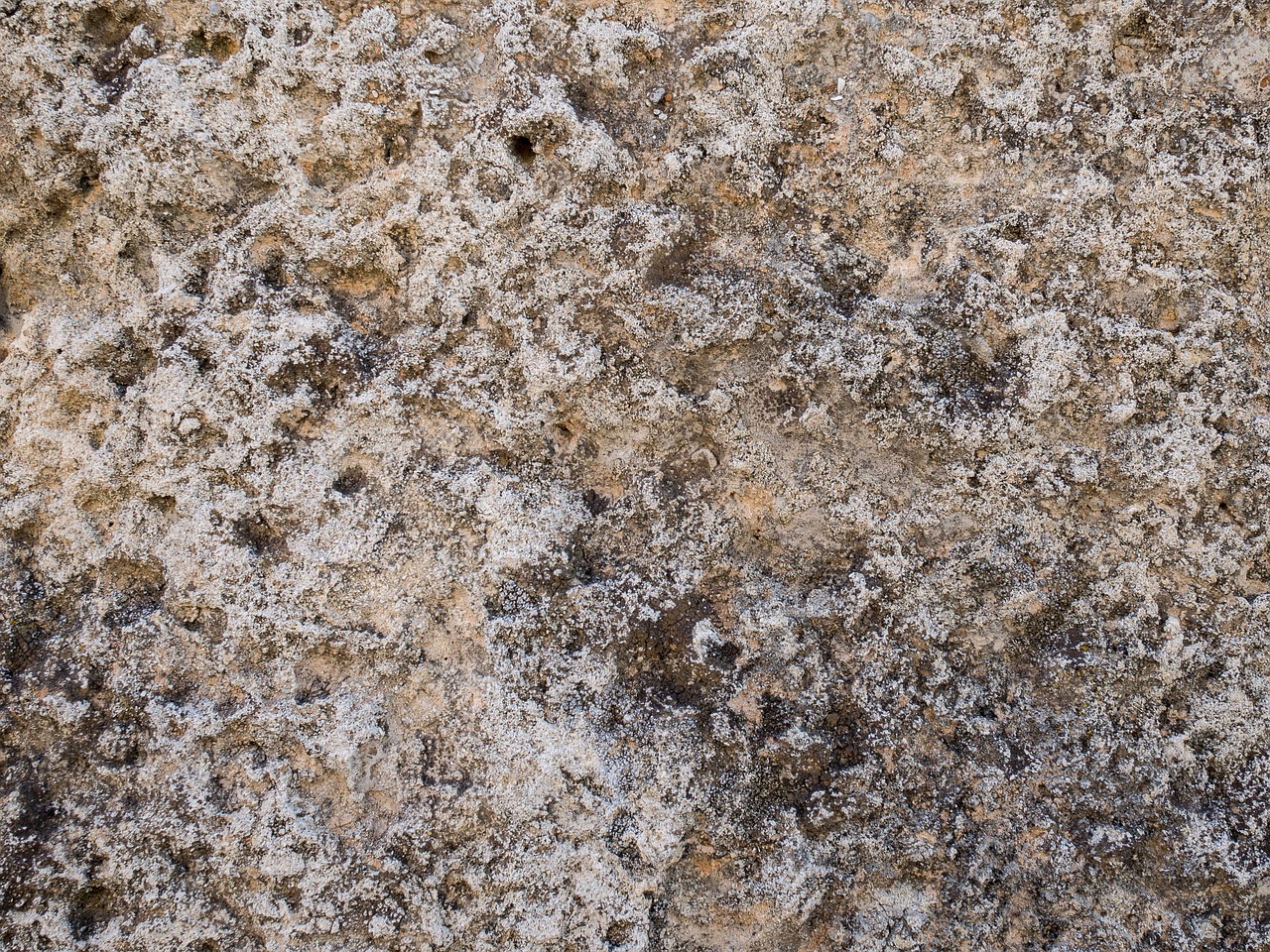 texture stone wall free photo