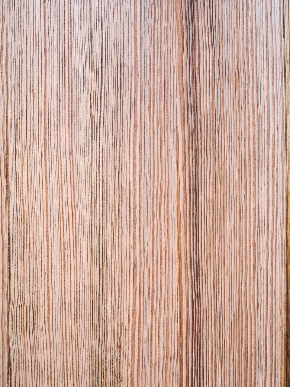 texture wall wood free photo