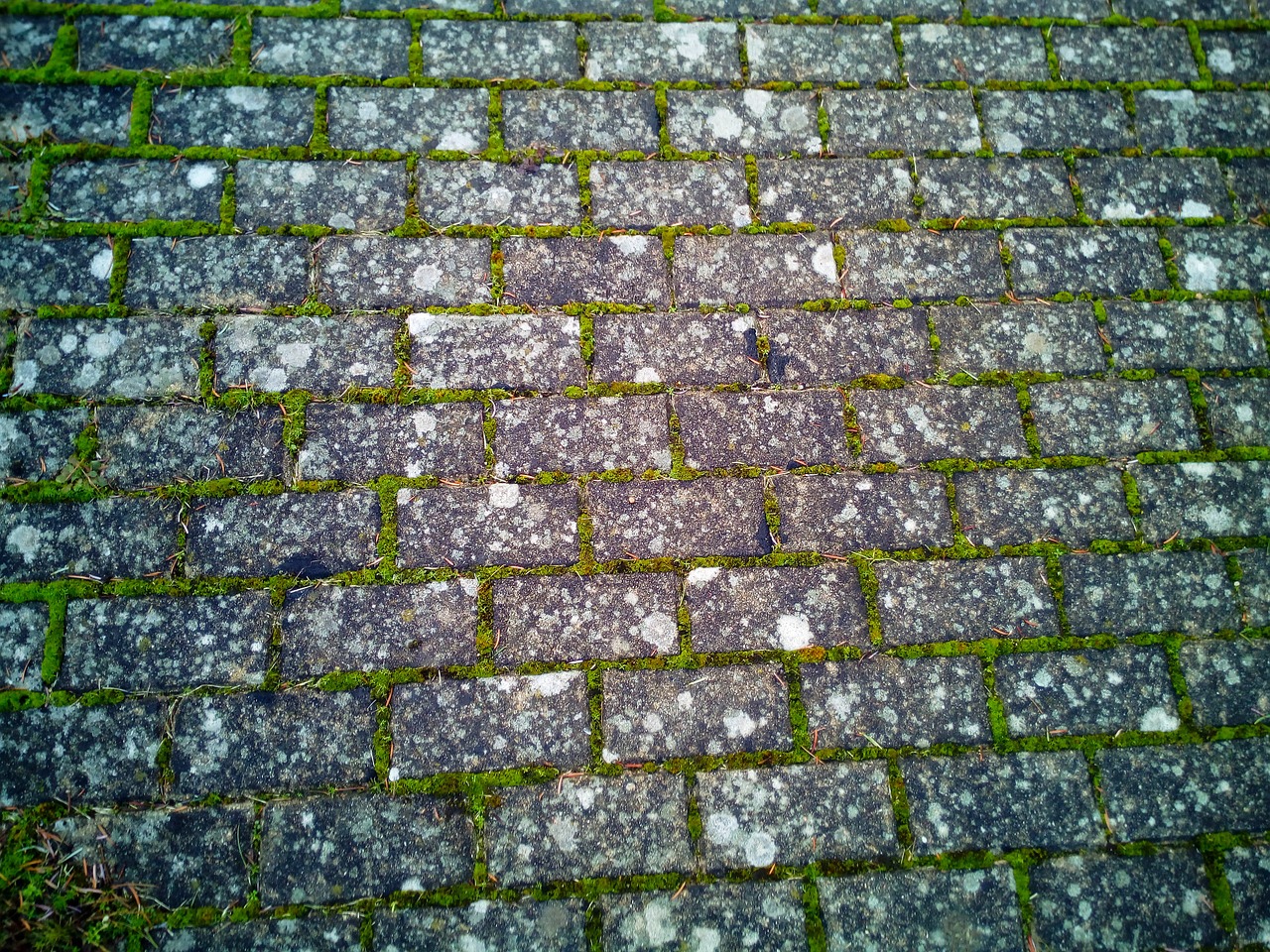 texture paving stones cobble free photo