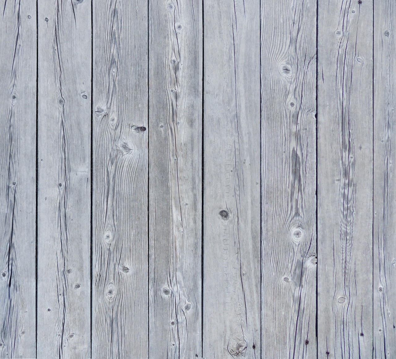texture wood texture white wood free photo