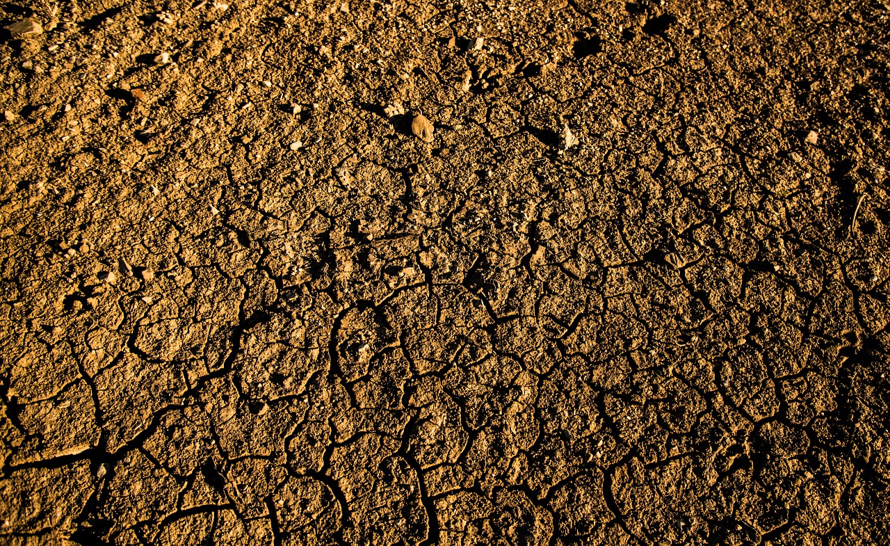 texture earth sand free photo