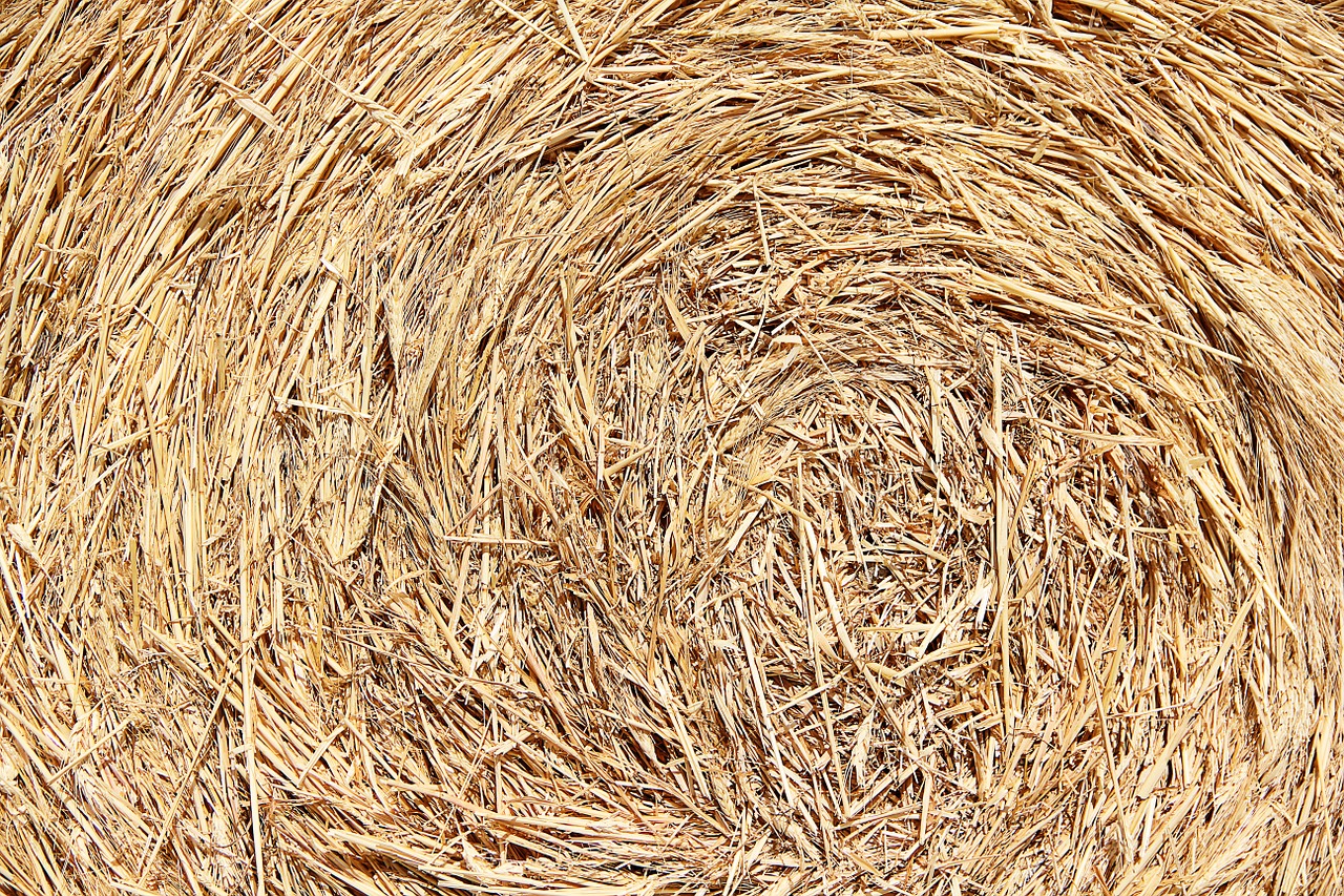 texture straw background free photo