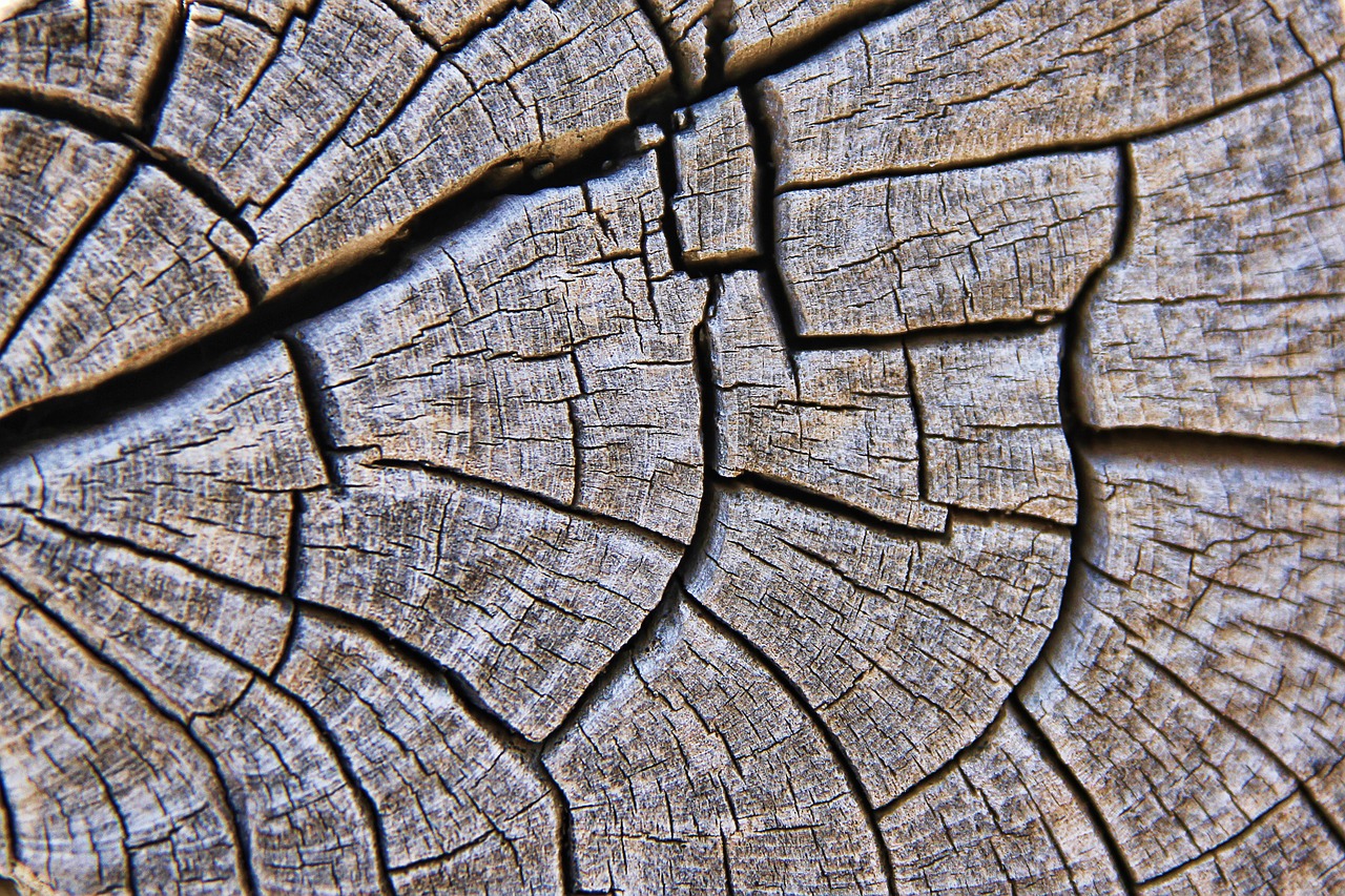 texture wood grain free photo