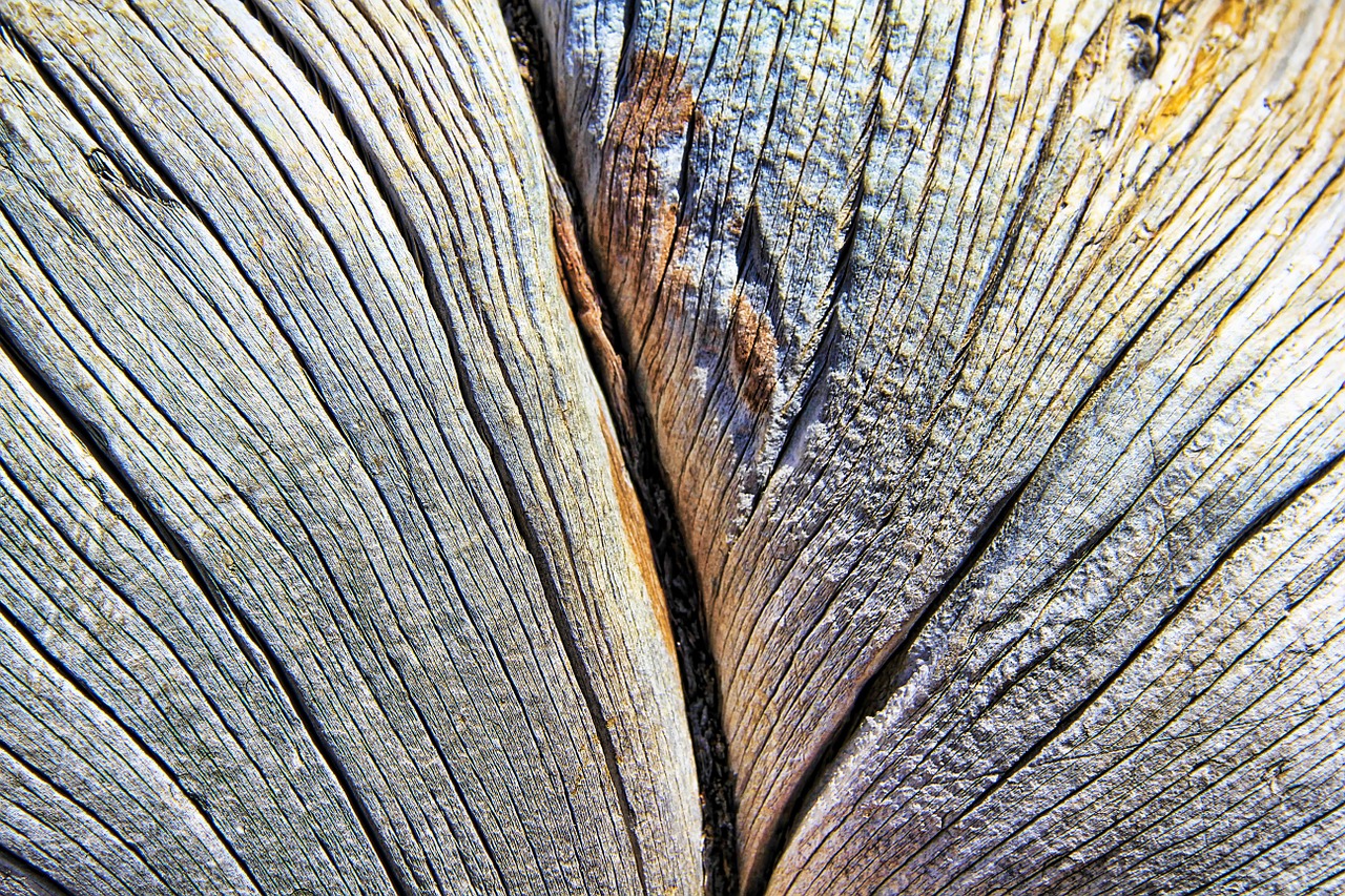 texture wood lines free photo