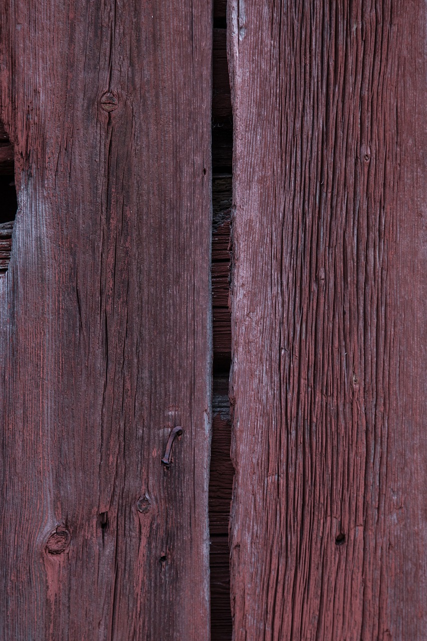 texture wood closeup free photo
