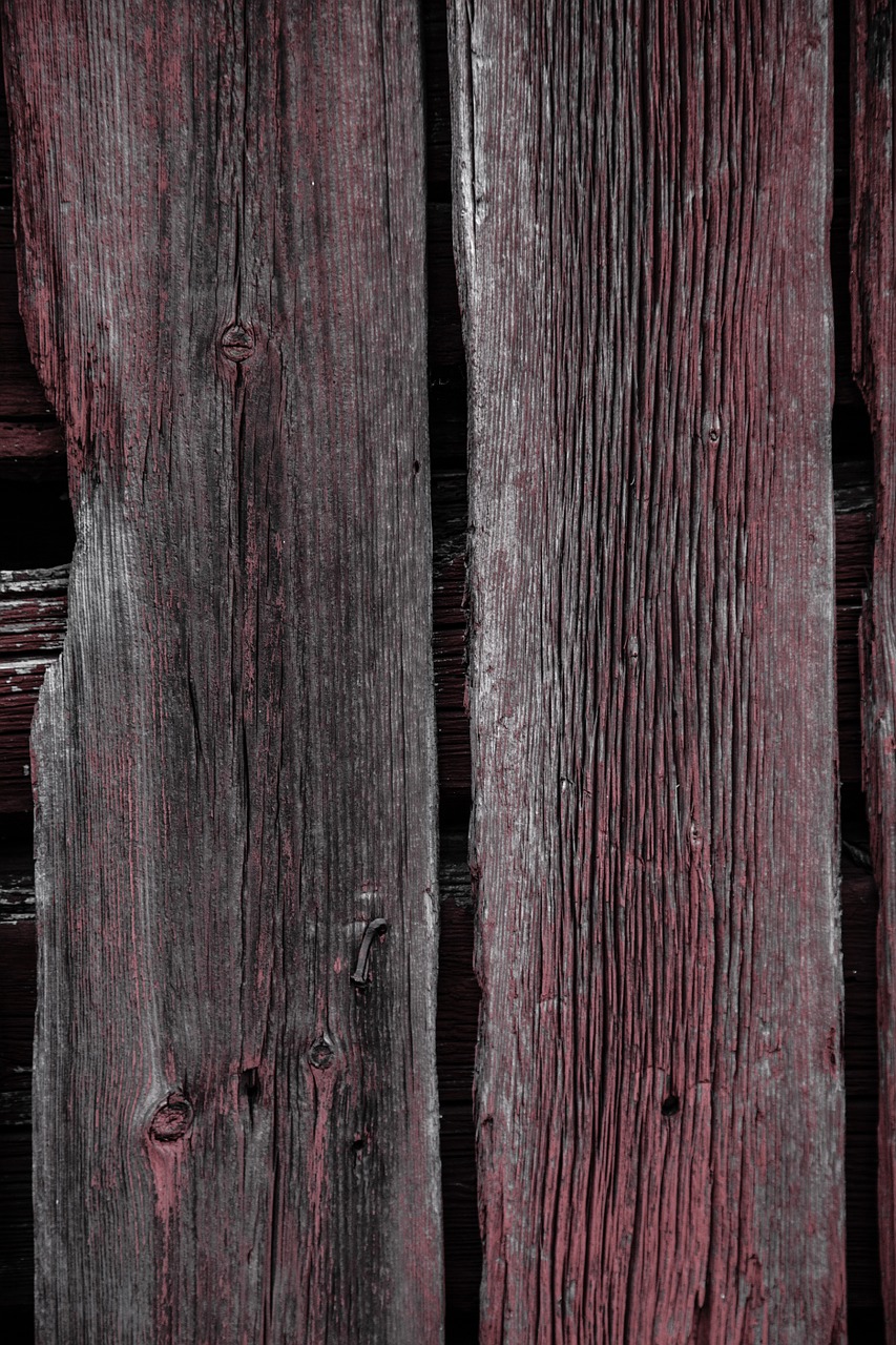 texture wood closeup free photo