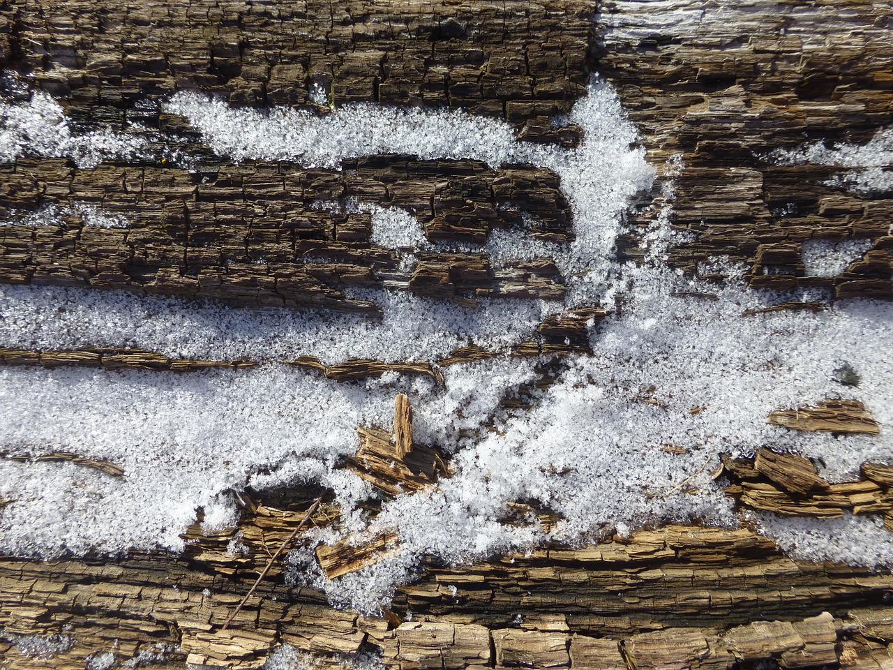 texture wood snow free photo