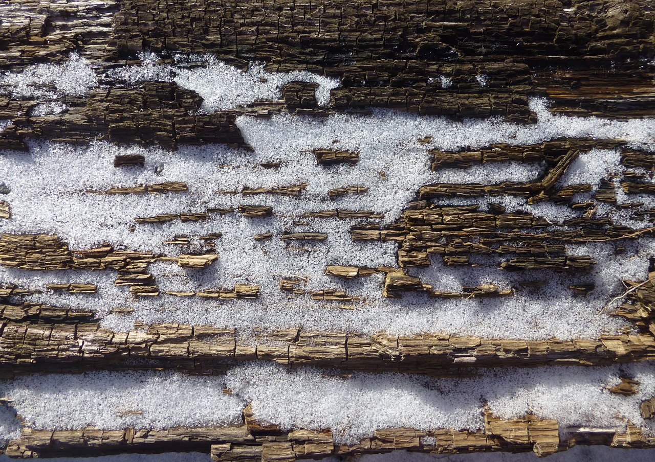 texture wood snow free photo