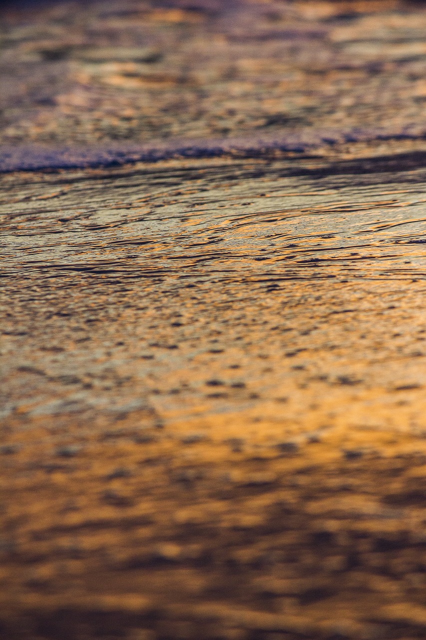 texture water sunset free photo