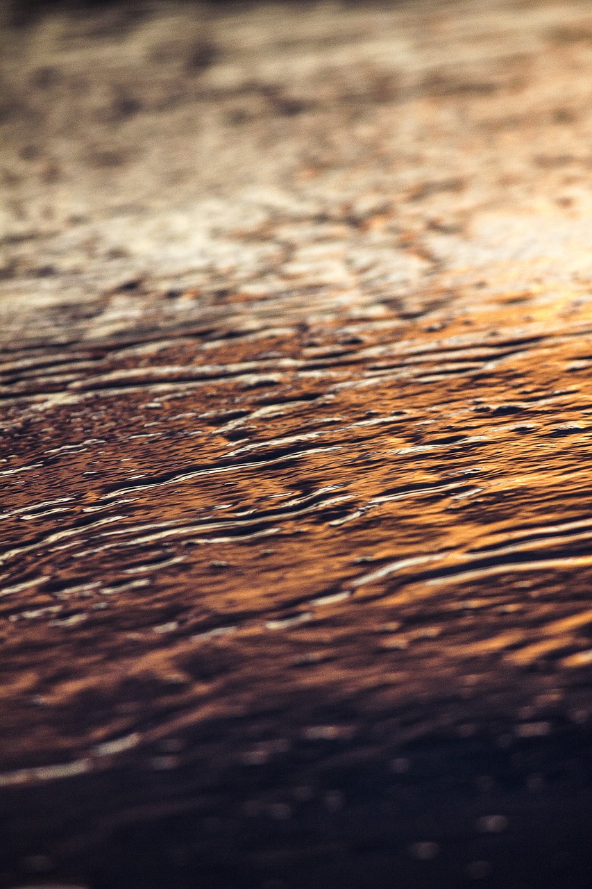 texture water sunset free photo