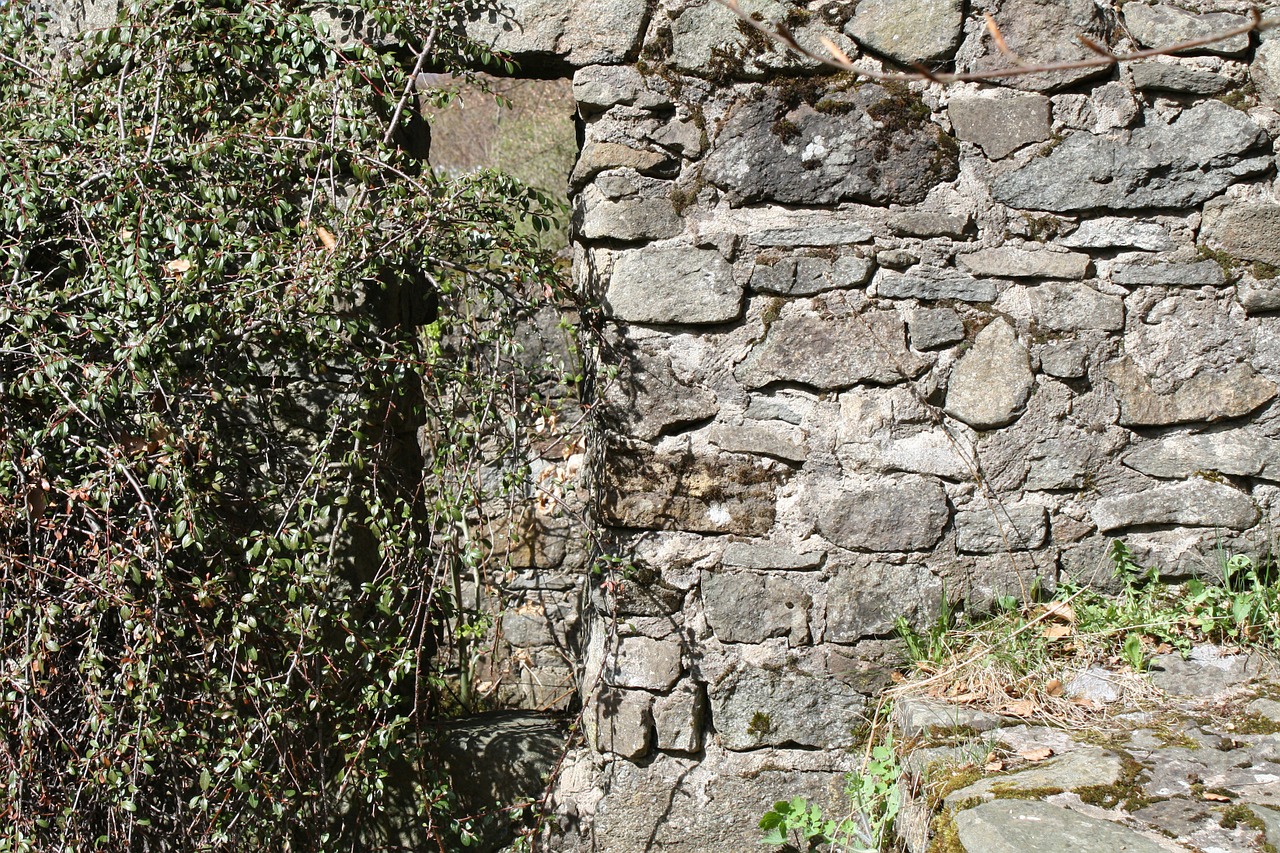 texture stone wall free photo