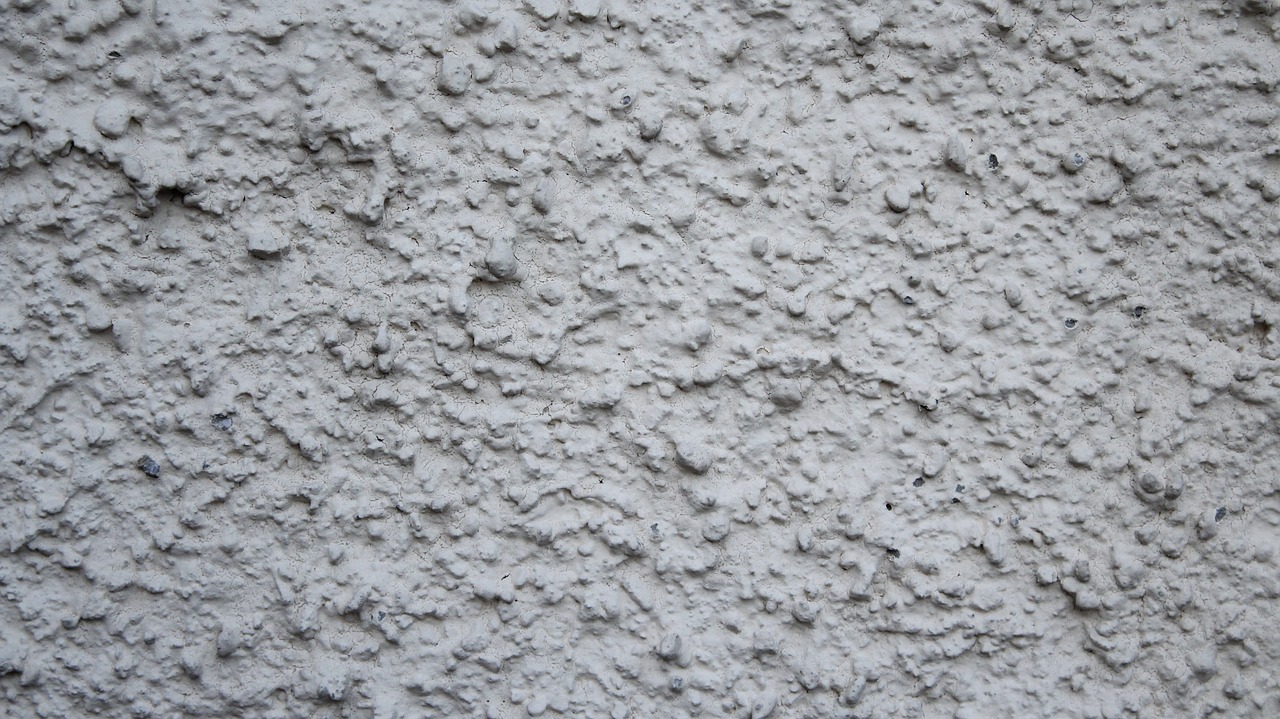 texture plaster white free photo