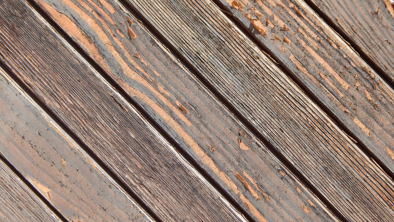 texture wood nature free photo