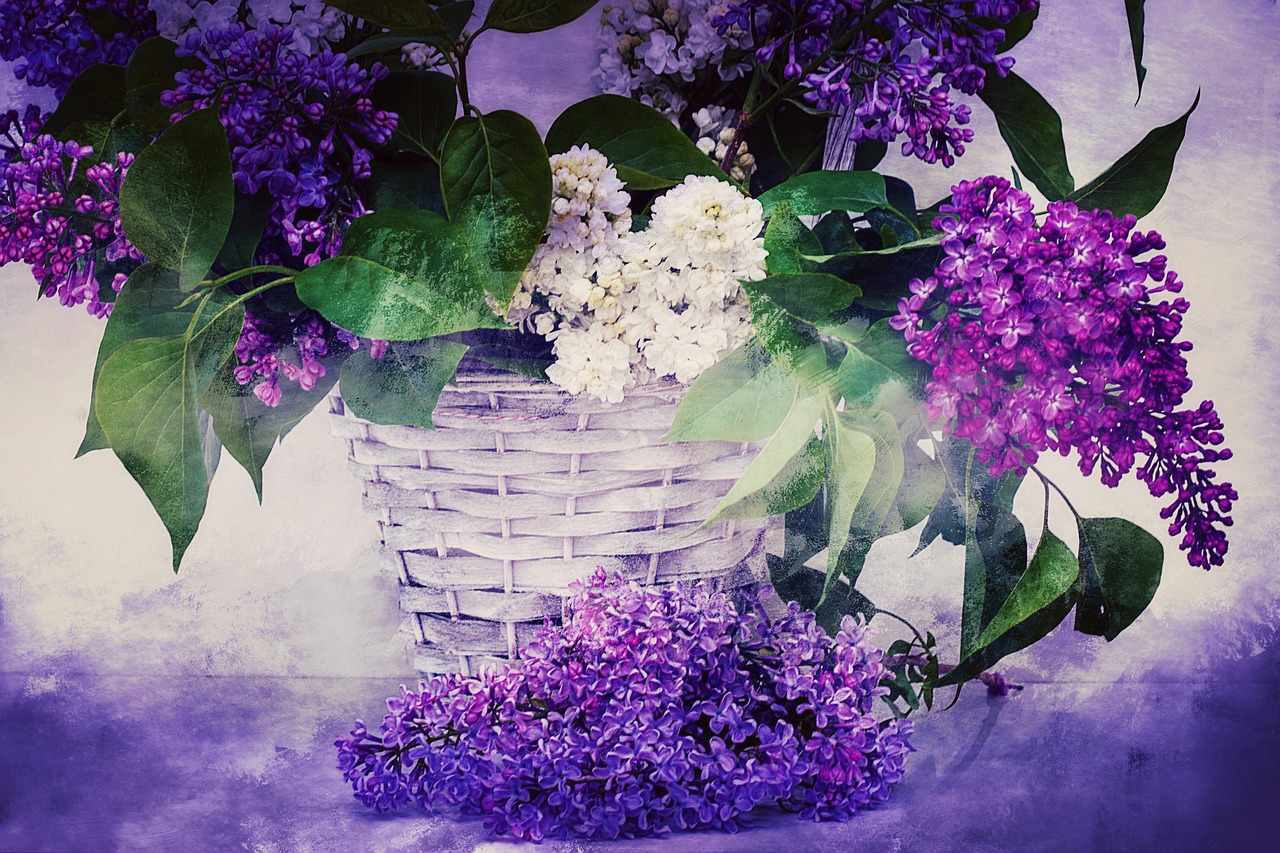 texture background lilac free photo
