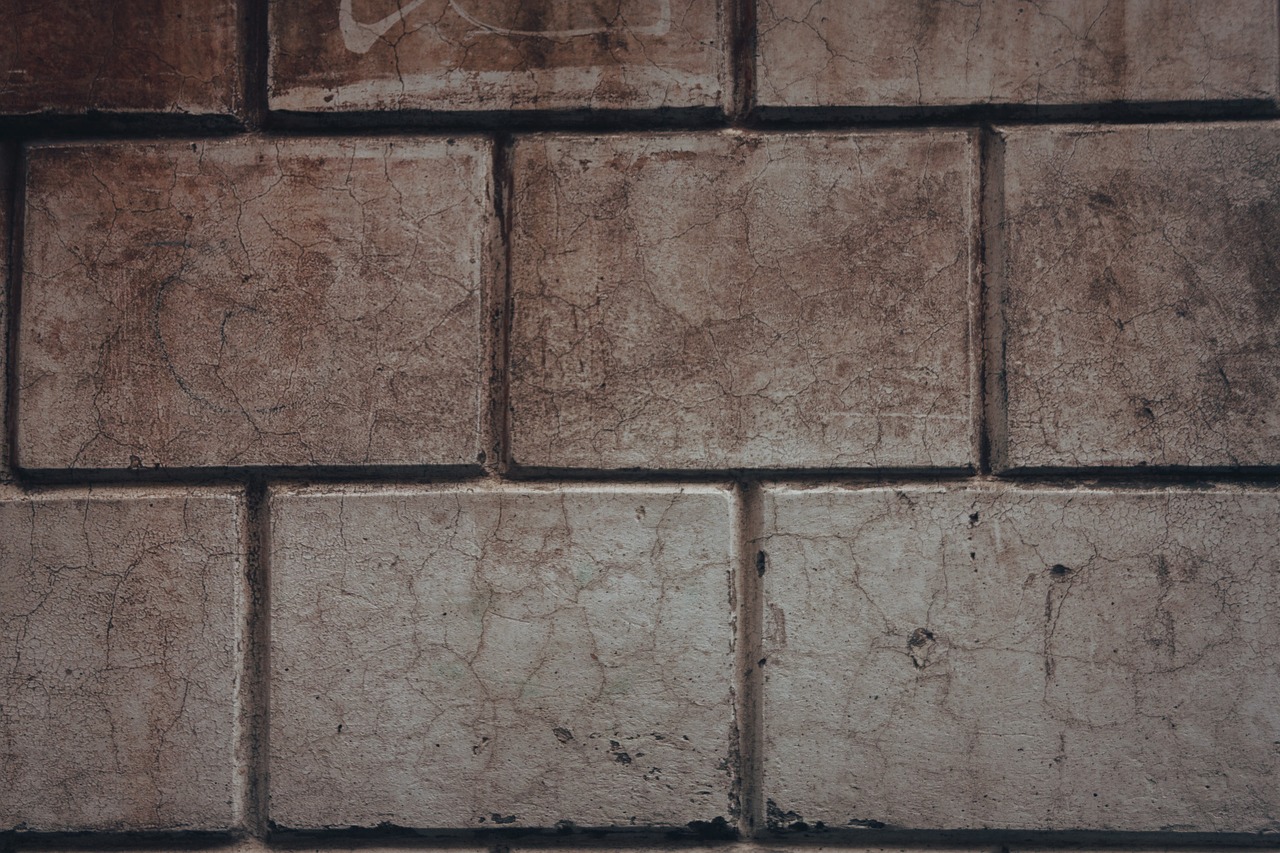 texture wall brick free photo