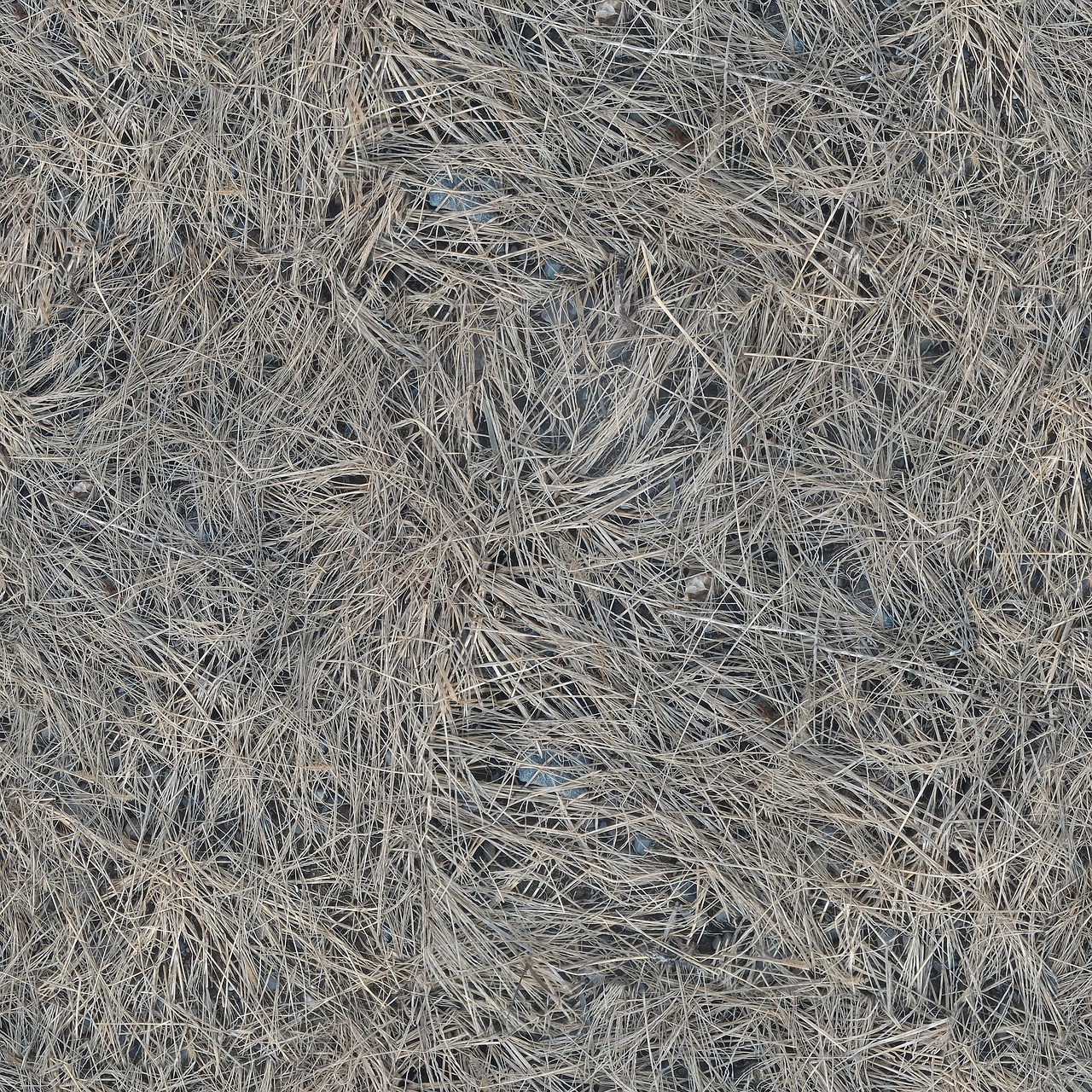 texture seamless tileable free photo