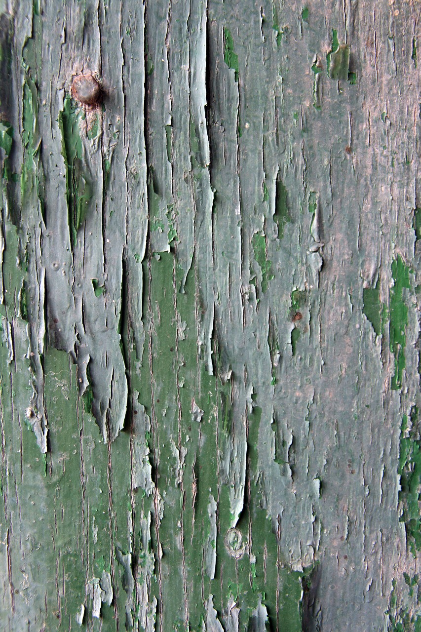 texture paint cracked free photo