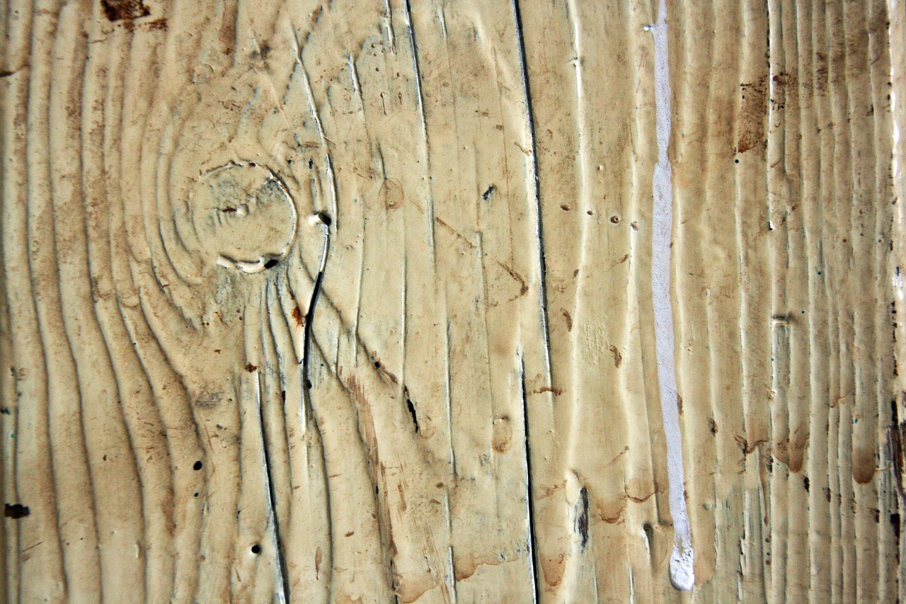 texture wood knot free photo