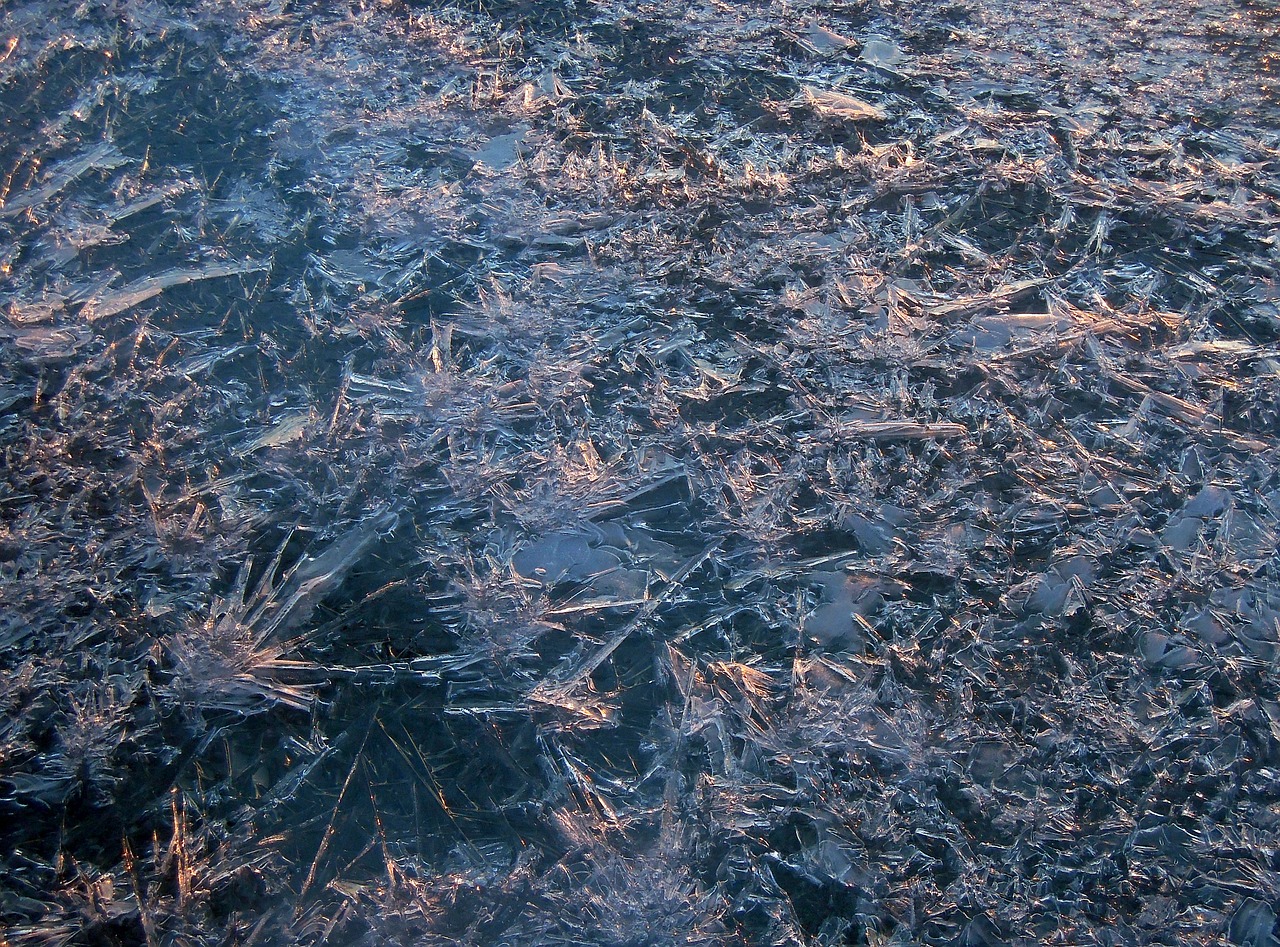 texture ice winter free photo
