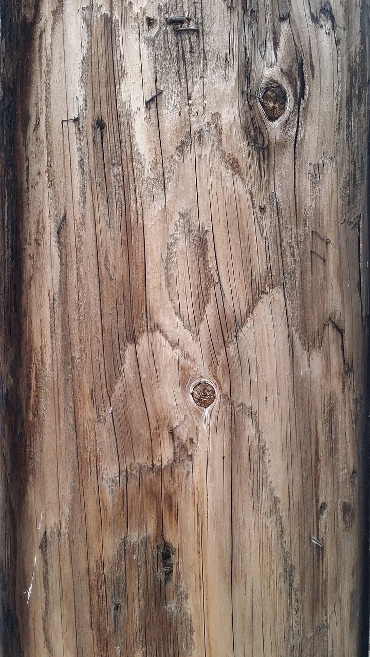 texture wood wood texture background free photo