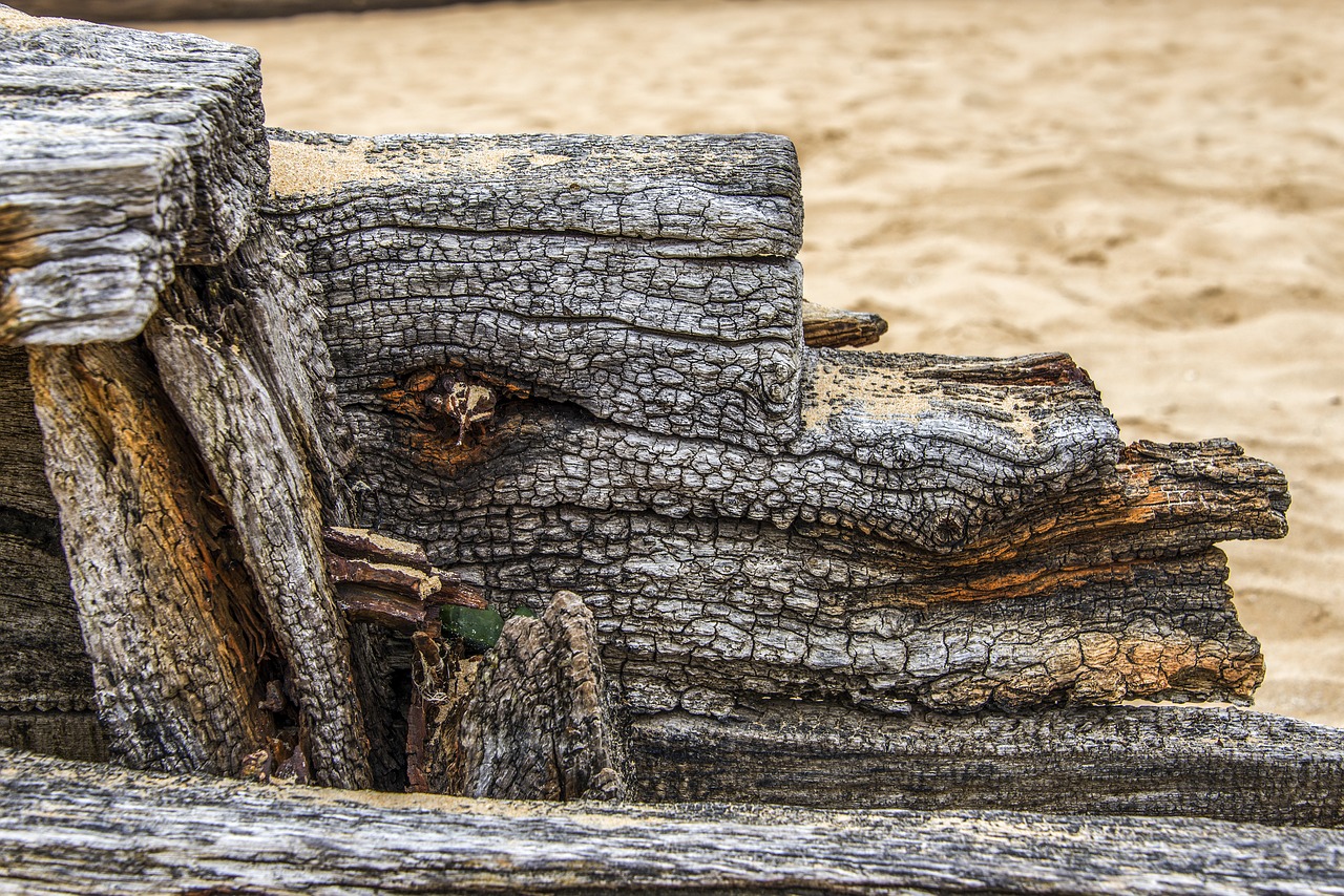 texture texture wood wood free photo