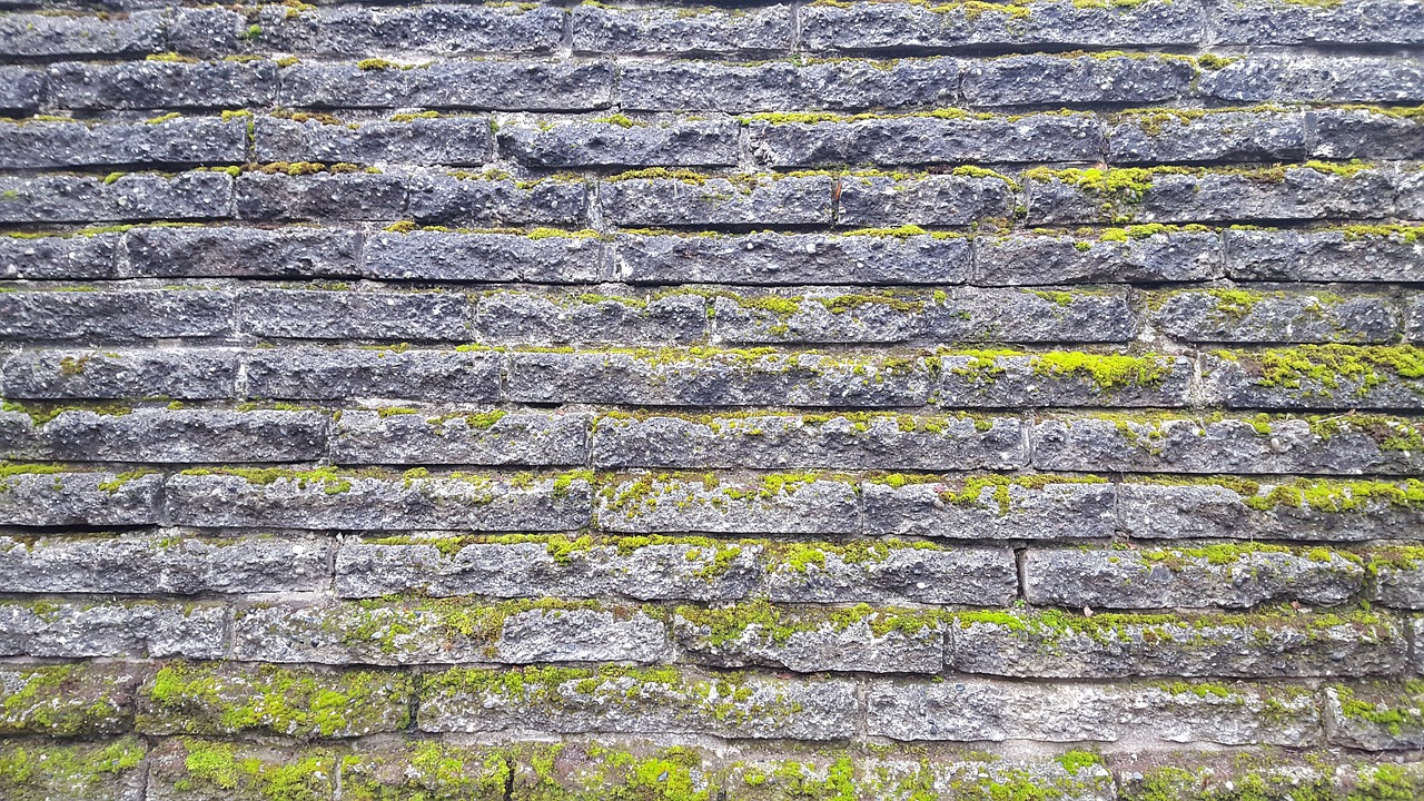 texture wall brick free photo