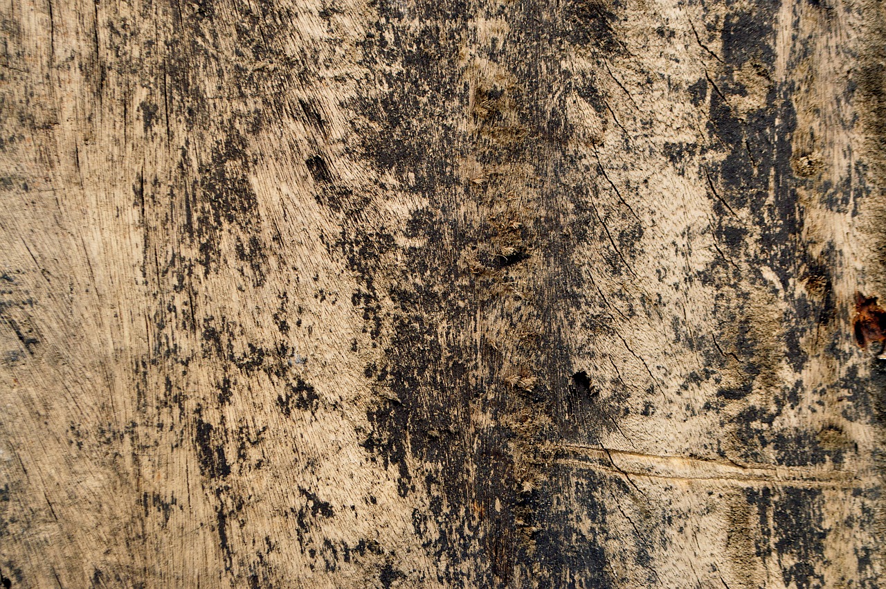 texture wood background free photo