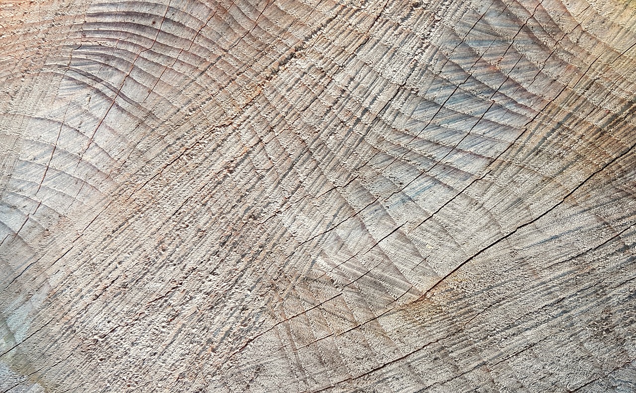 texture background wood free photo