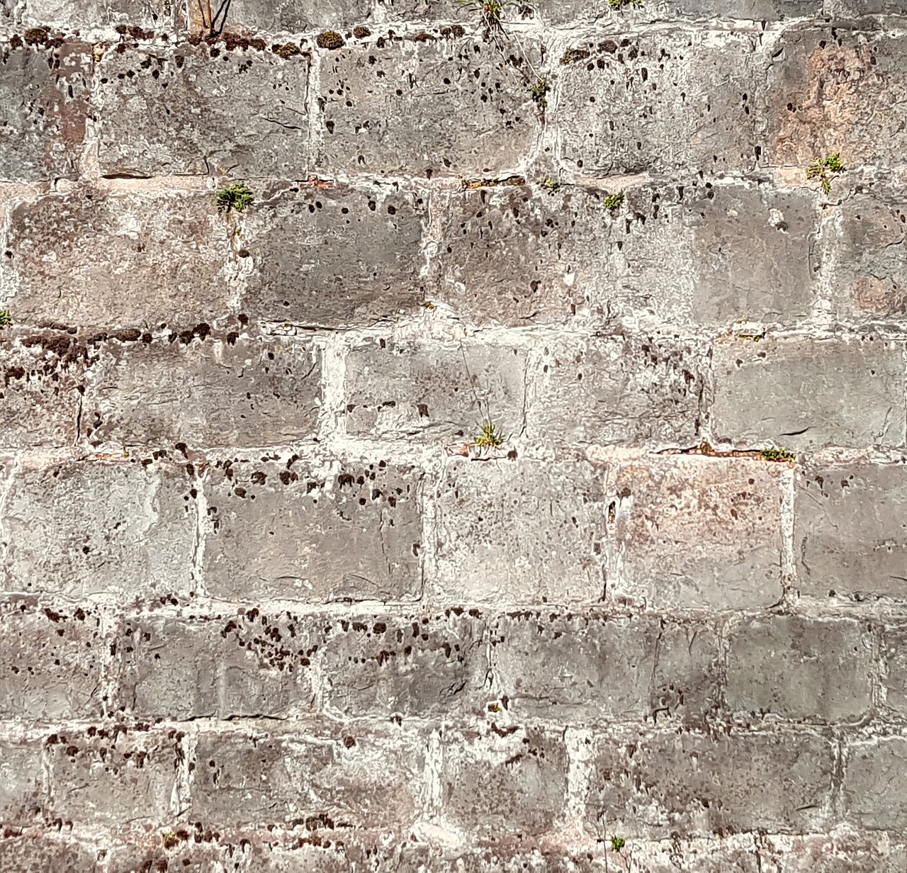 texture background wall free photo