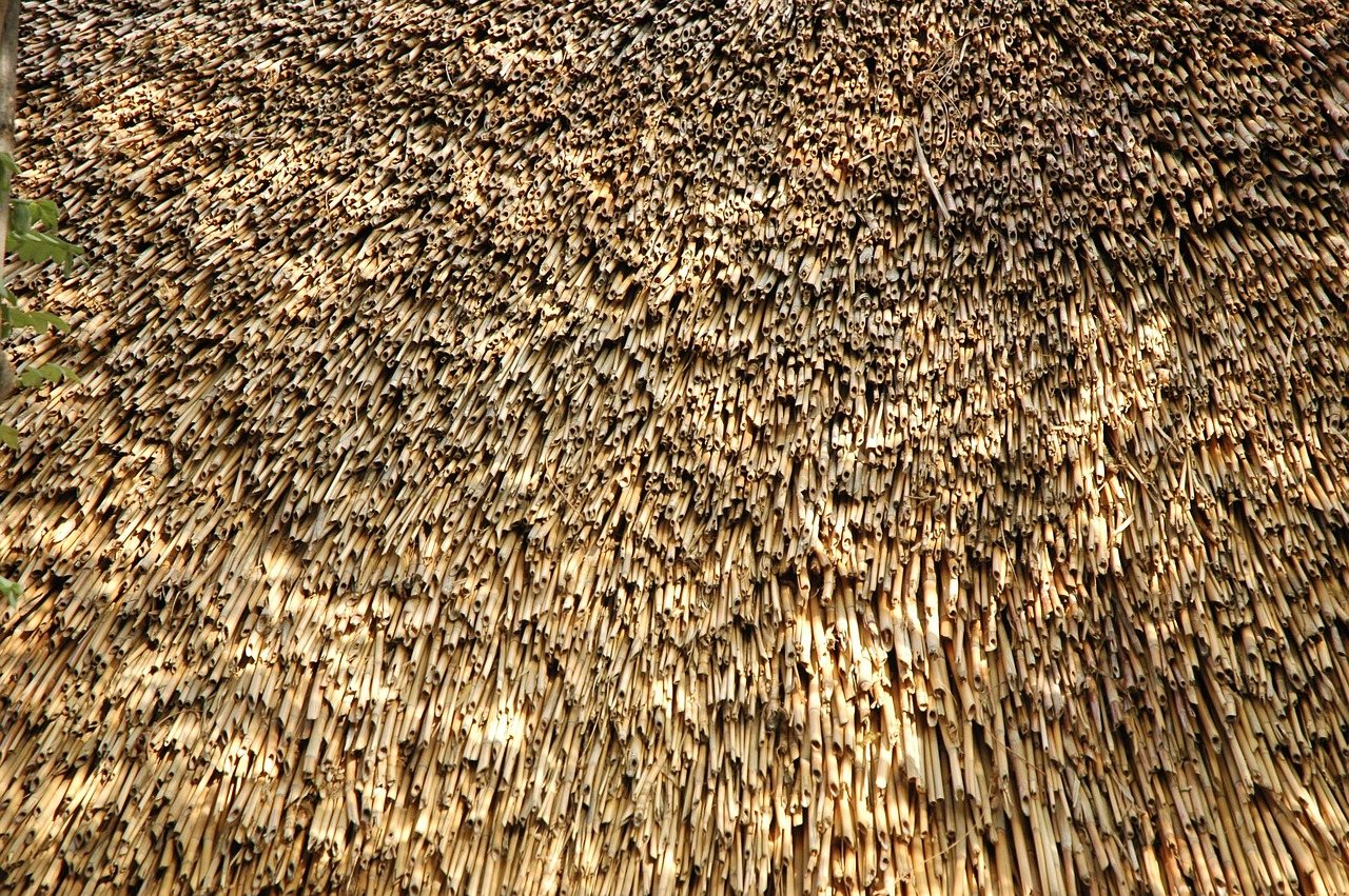 texture  hay  nature free photo