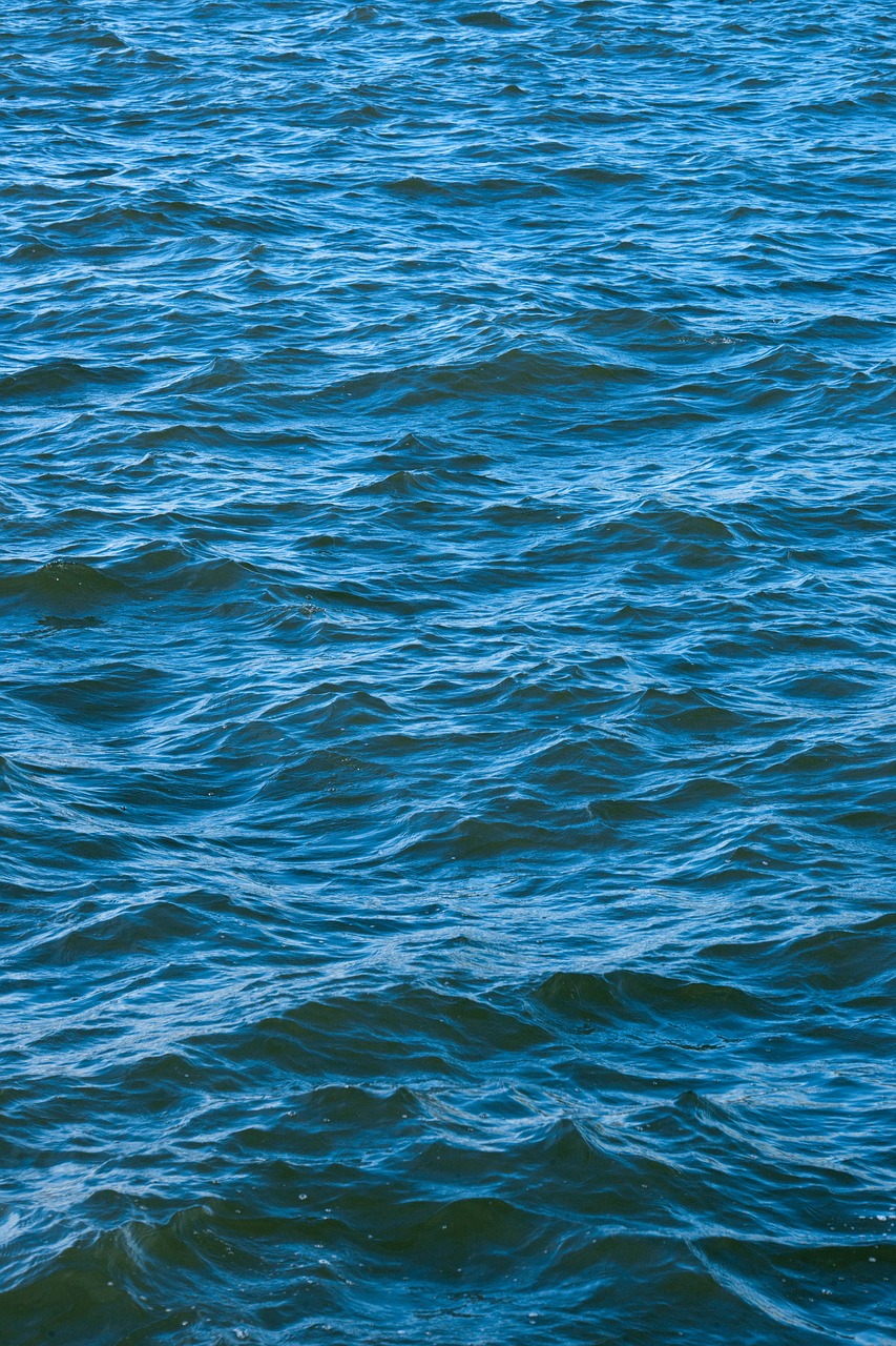 texture  aquatic free pictures free photo