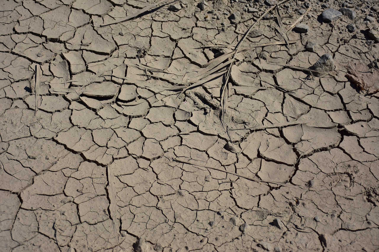 texture  cracked  ground free photo