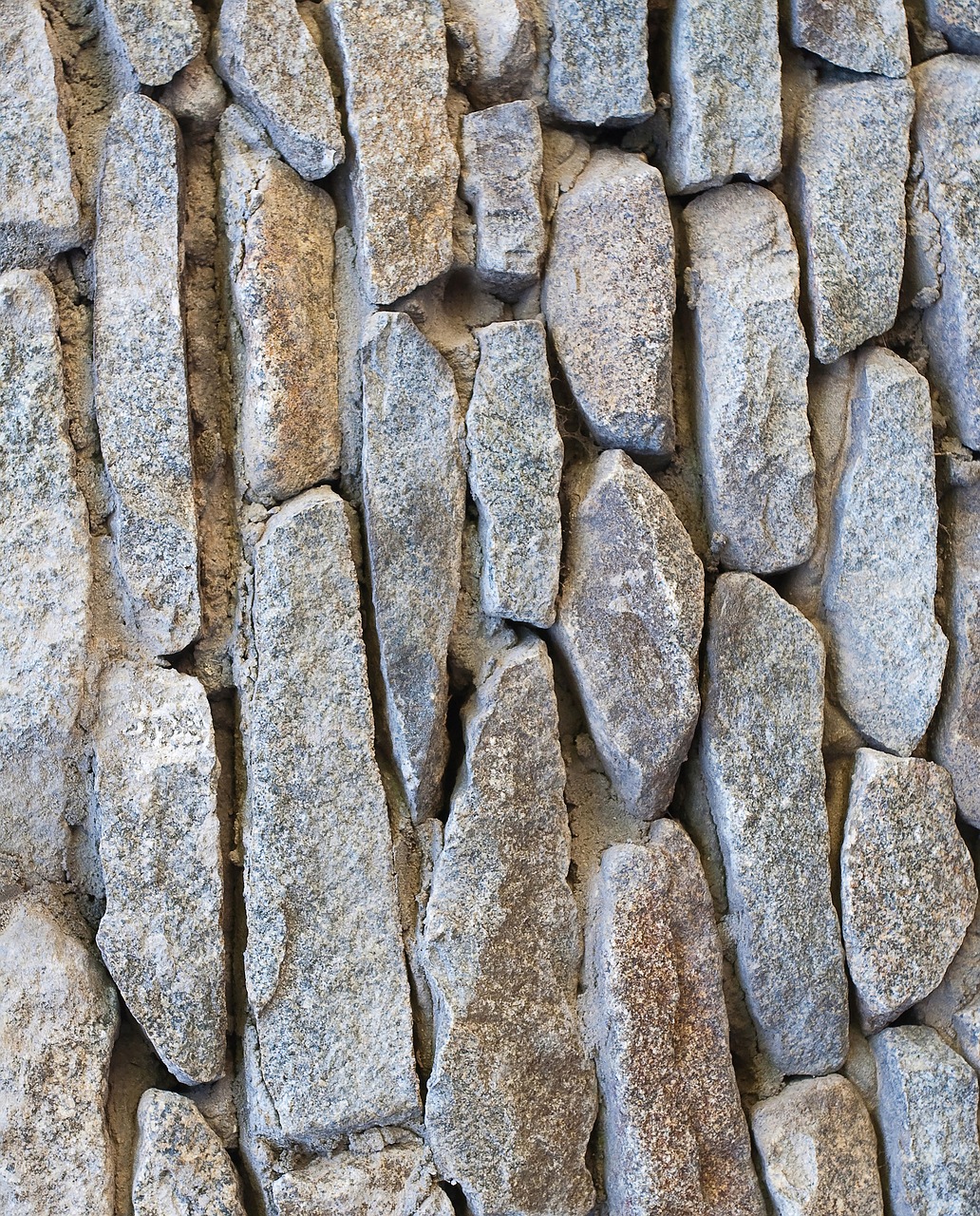 texture  pierre  roche free photo