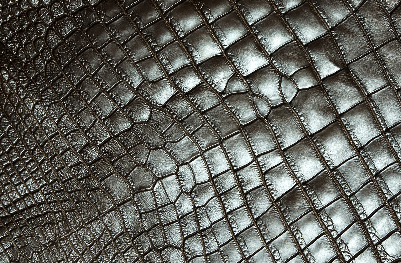 texture  carapace  reptile free photo