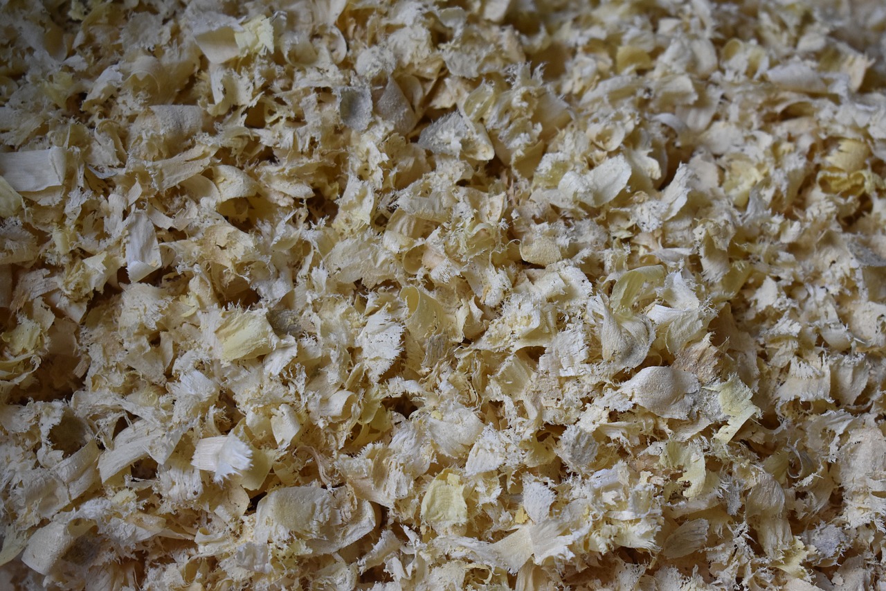texture  sawdust  chips free photo