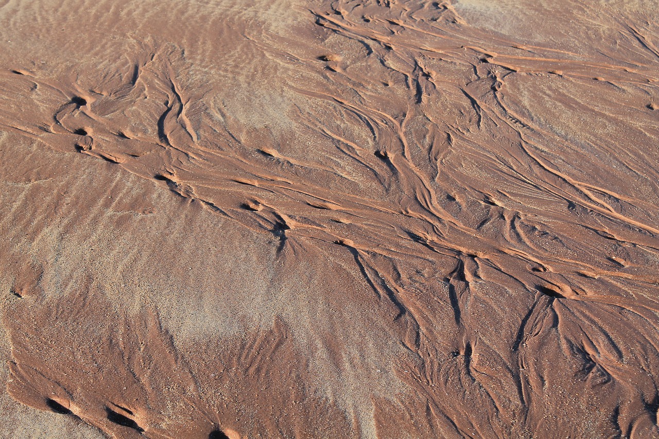 texture  sand  beach free photo