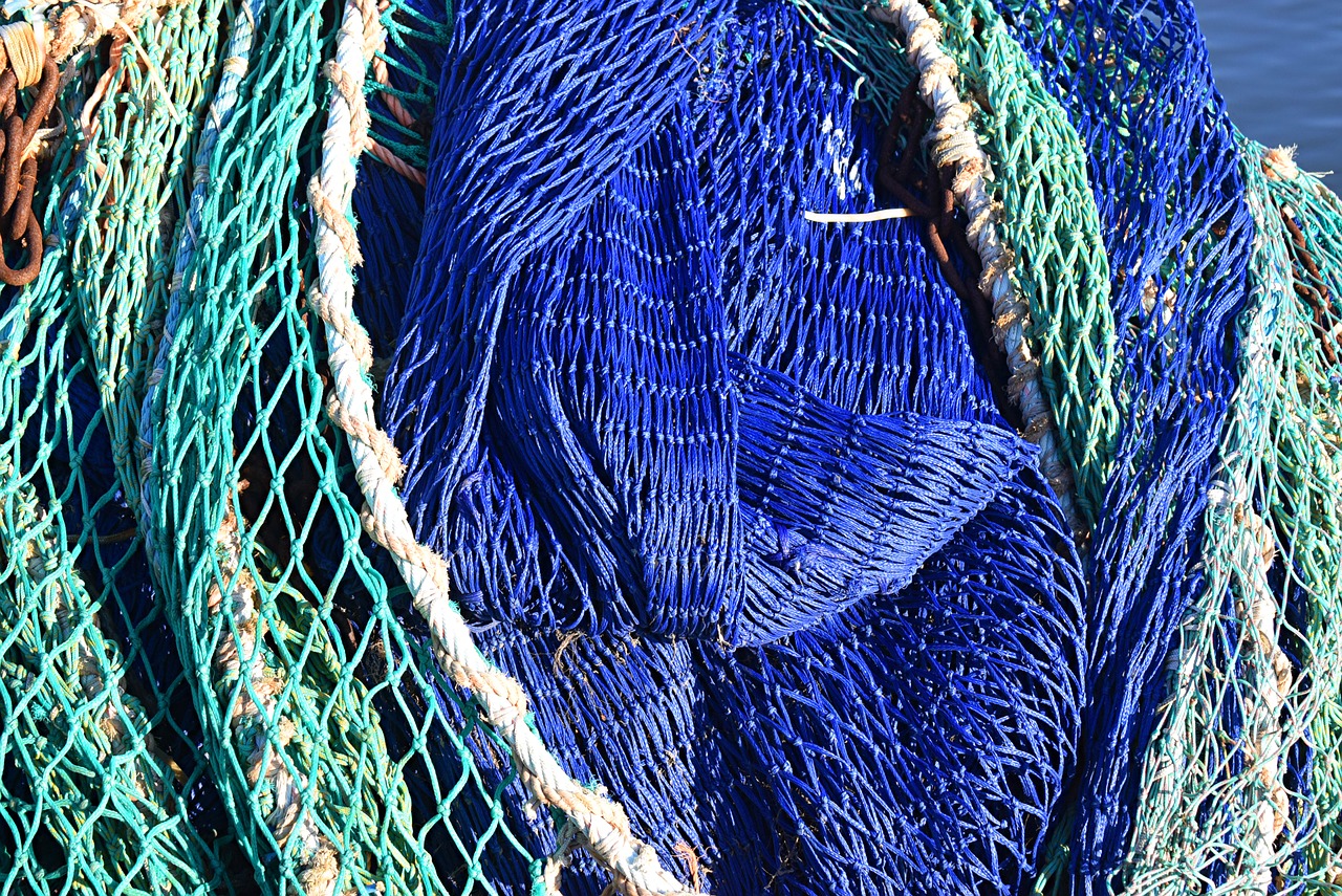 texture  net  fishing free photo