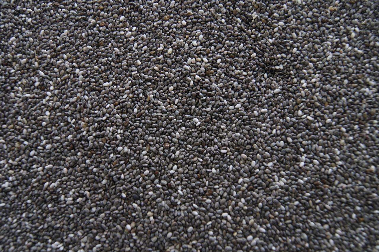 texture  seeds  chia free photo