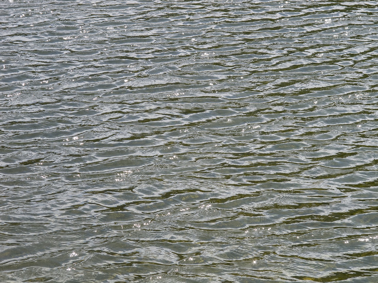 texture water ripples free photo