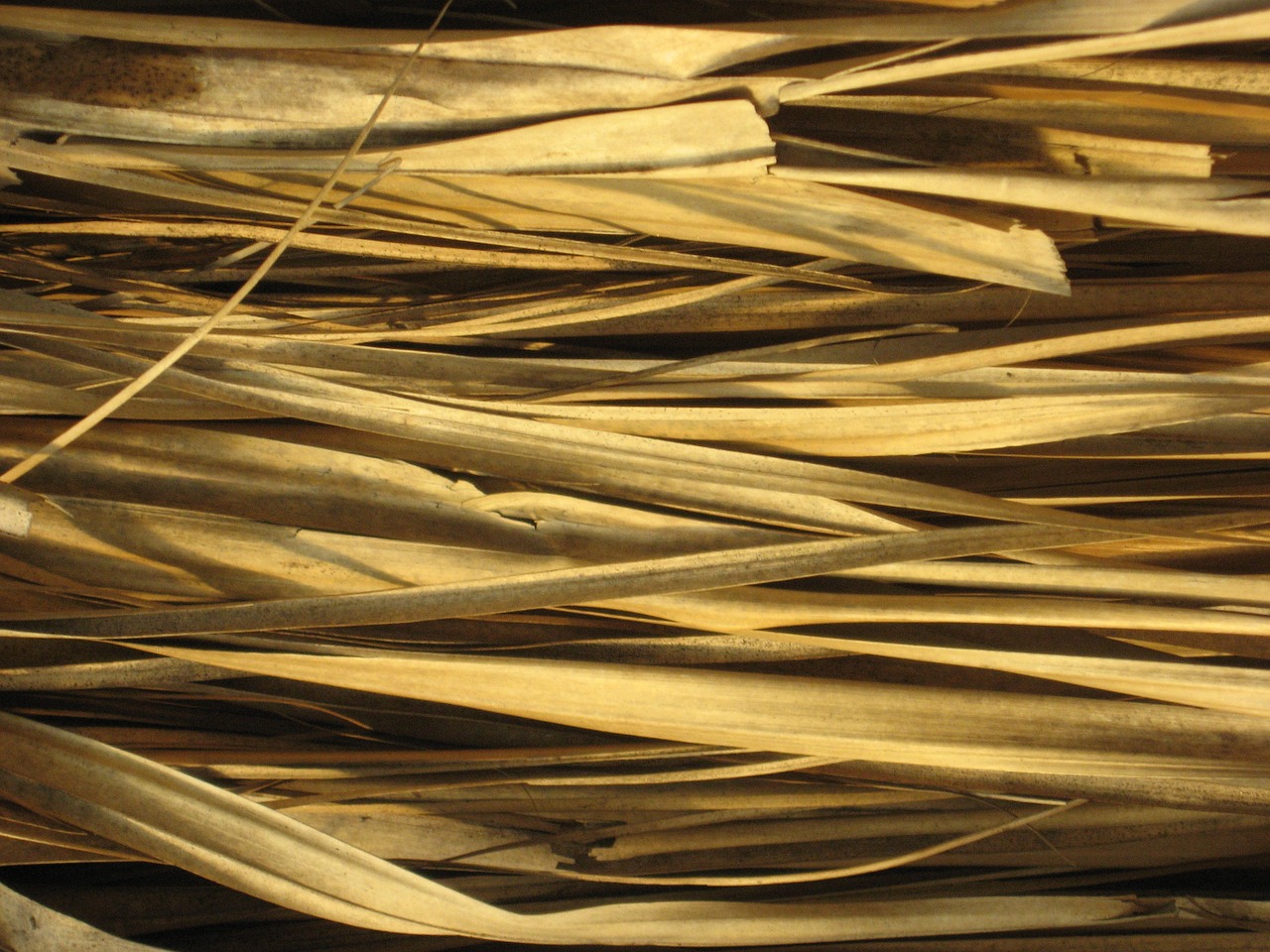 texture straw hut free photo