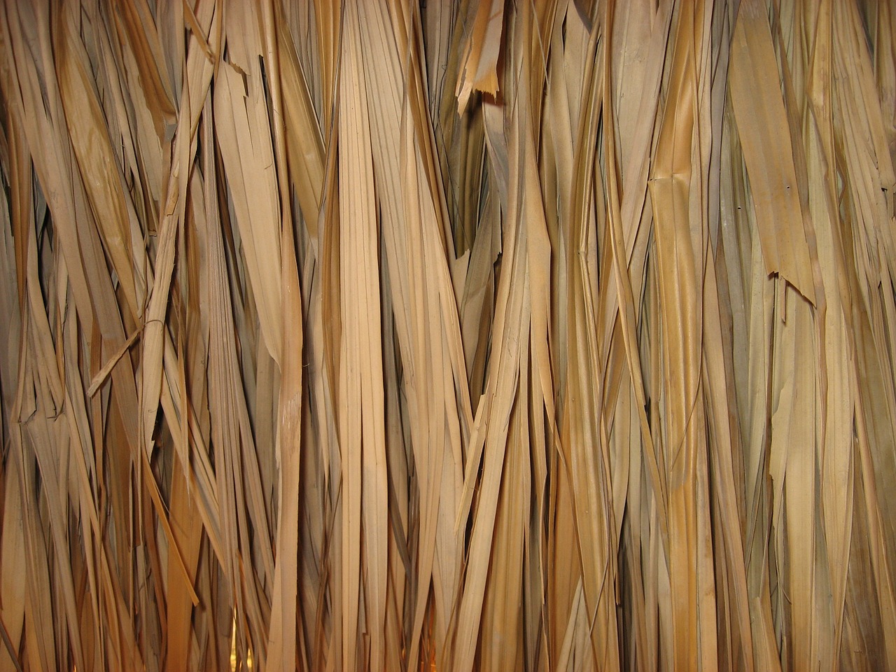 texture straw hut free photo